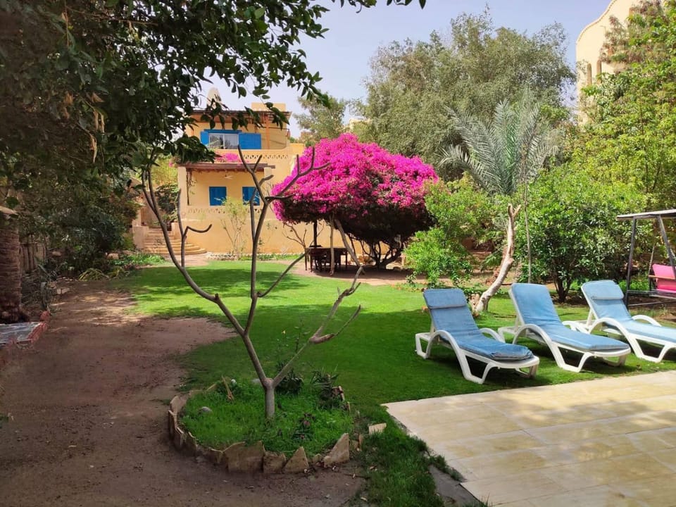 فيلا كوكو بقرية تونس Villa in Egypt