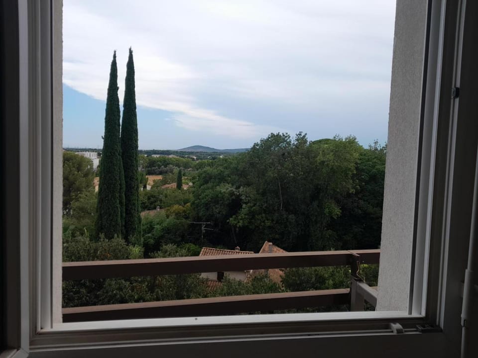 La Parenthèse Montpelliéraine Vacation rental in Montpellier