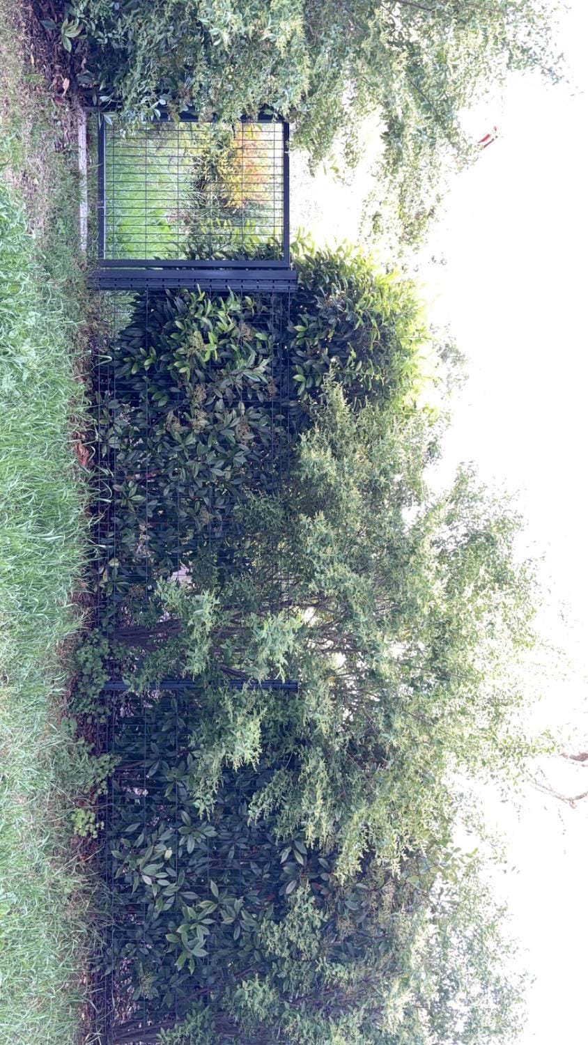 Charming 2 room garden level with garage Apartment in Annemasse