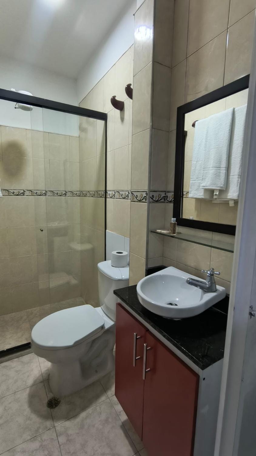 Shower, Toilet, Bathroom, towels