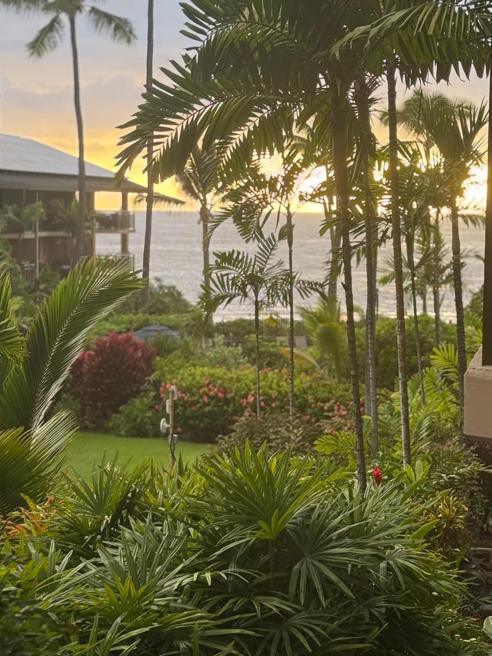 Fantastic Kona Makai 5104 free WIFI parking Apartment in Holualoa