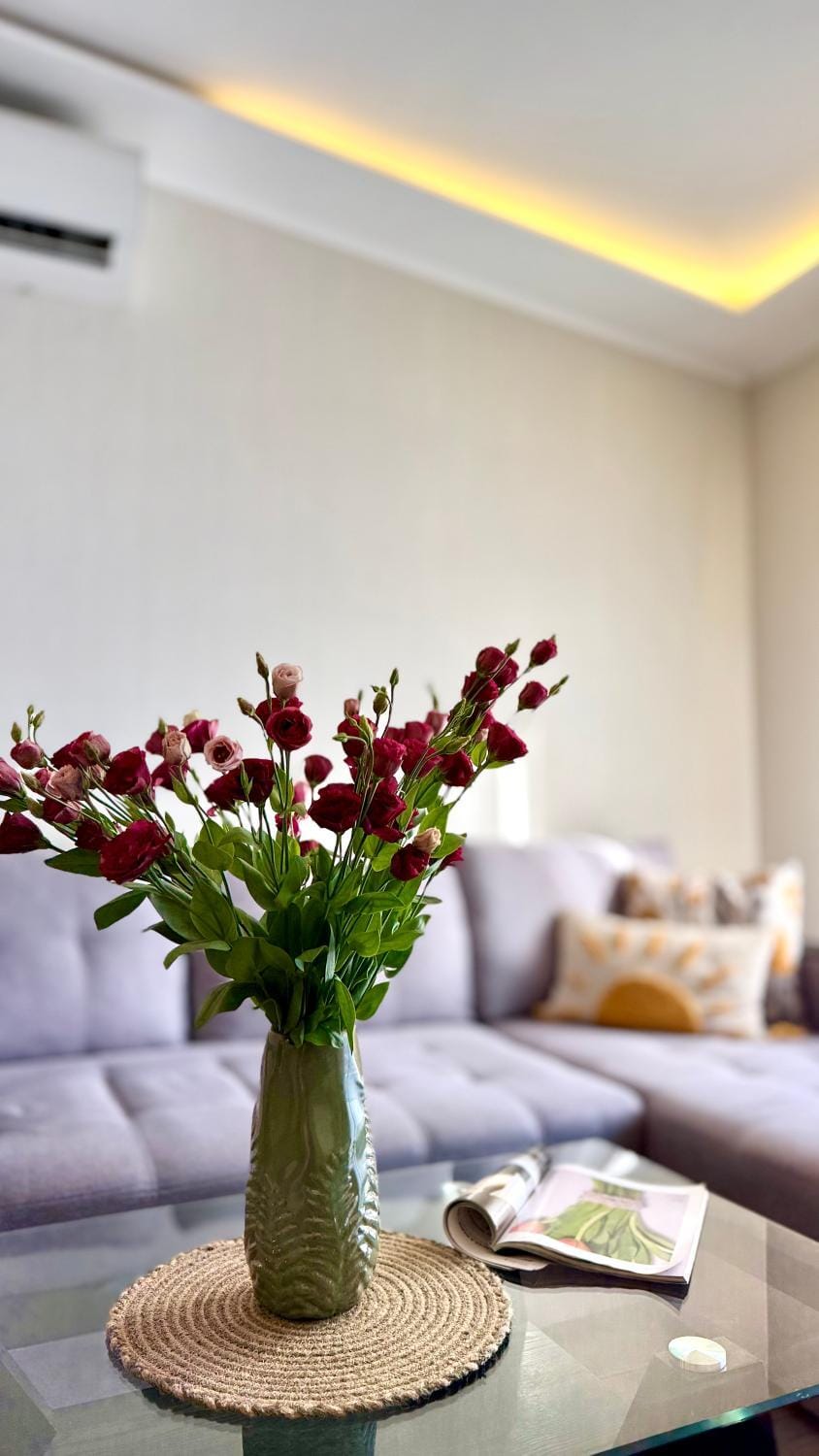 Living room, Seating area, air conditioner