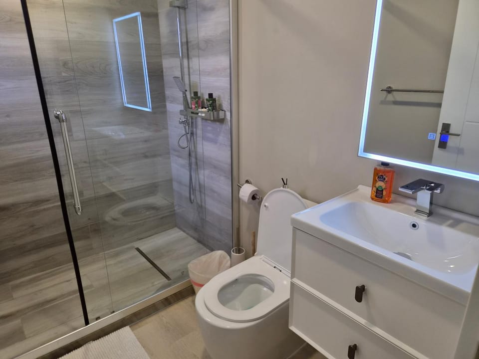 Shower, Toilet, Bathroom, towels