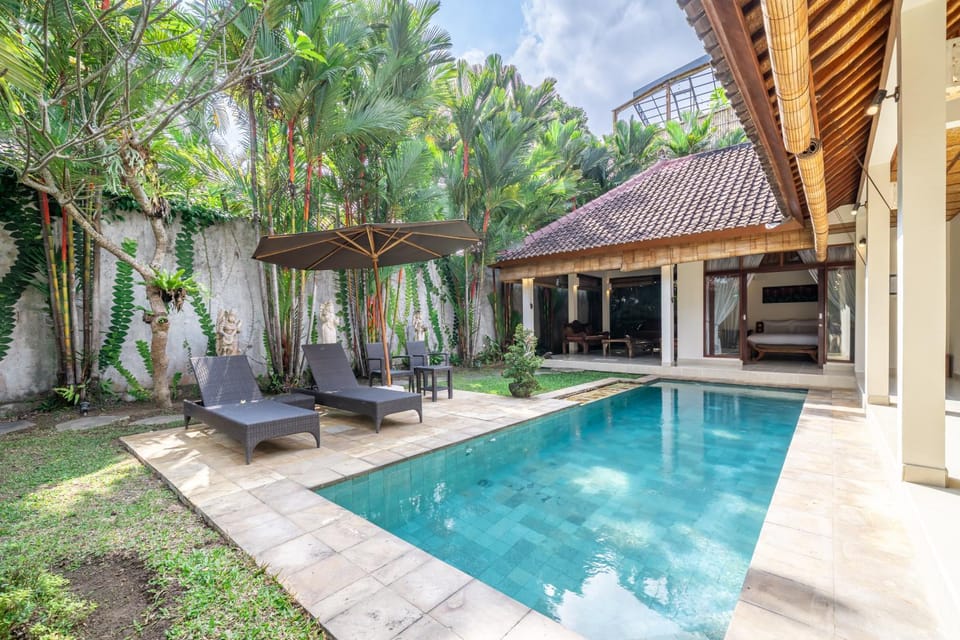 Garden, Garden view, Swimming pool, sunbed