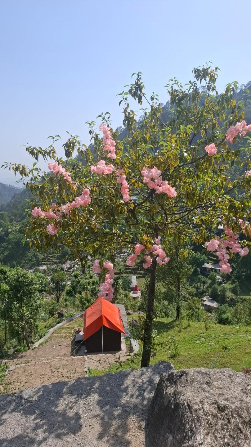 Golden Horizon Camps Luxury tent in Himachal Pradesh