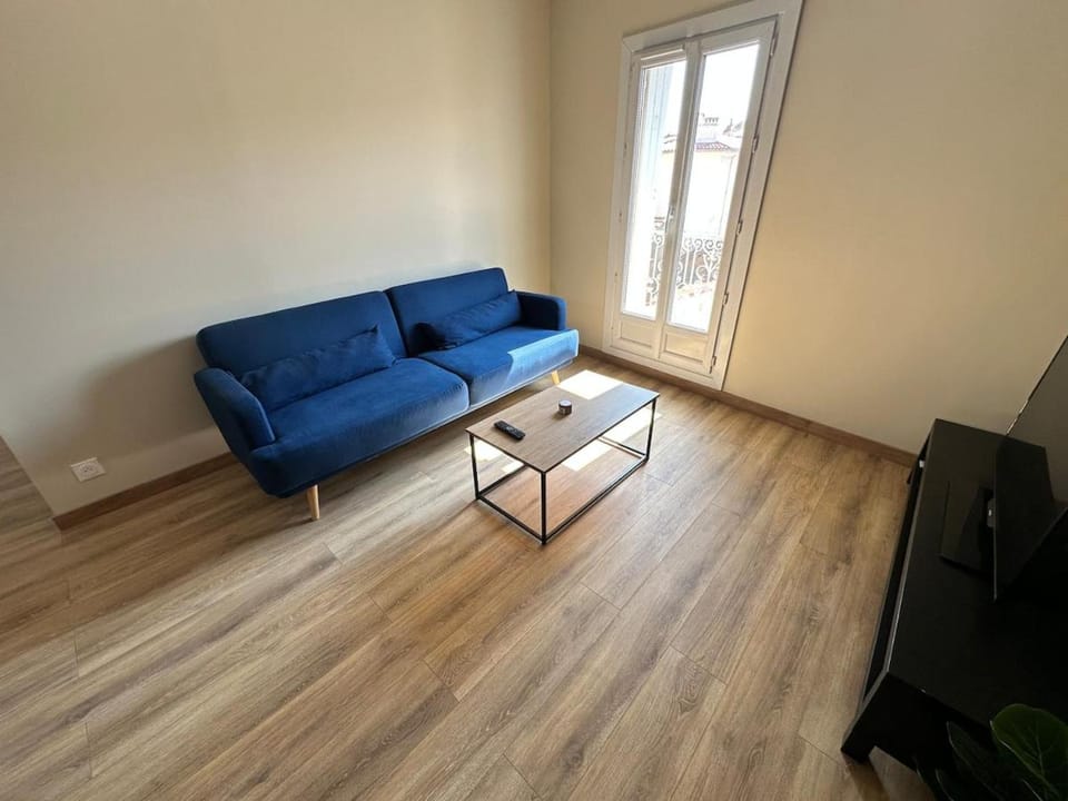 Large renovated apartment in the heart of Beziers Apartment in Béziers