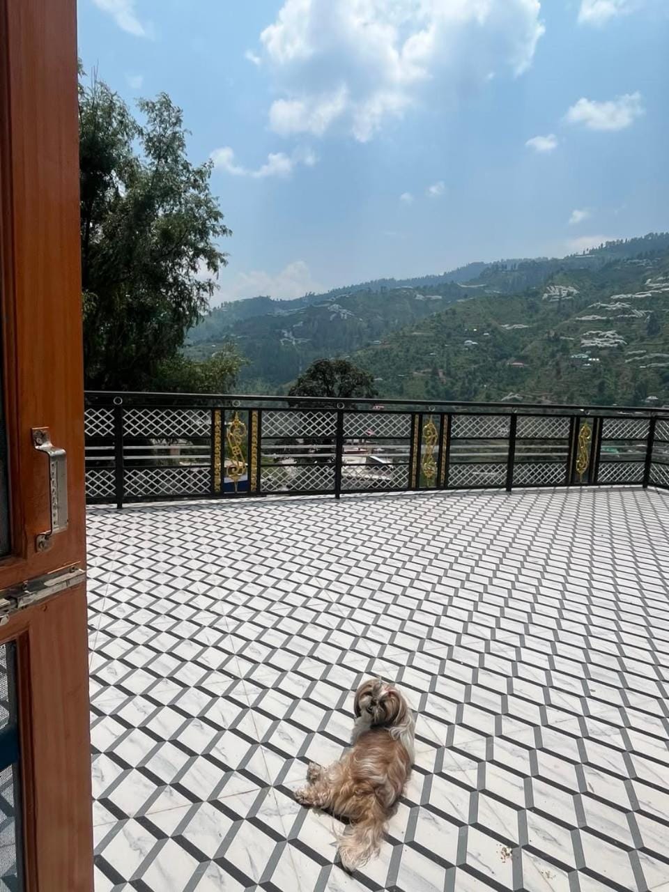 Delta inn Homestay Vacation rental in Himachal Pradesh