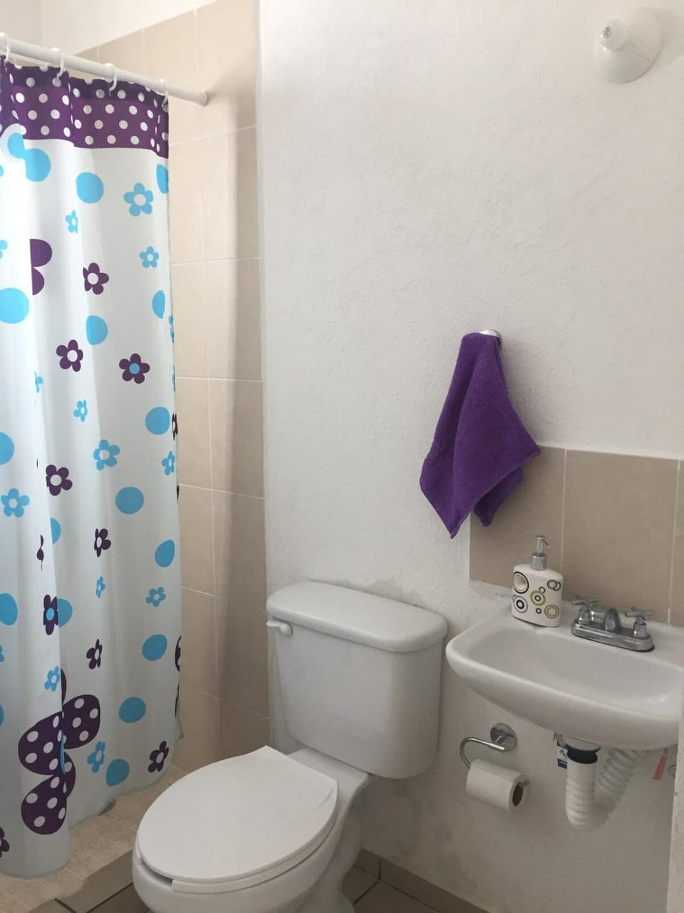 Beutiful house with pool in Acapulco, renovated House in Acapulco