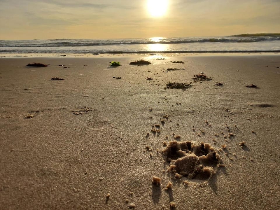 Day, Natural landscape, Beach, Sunset