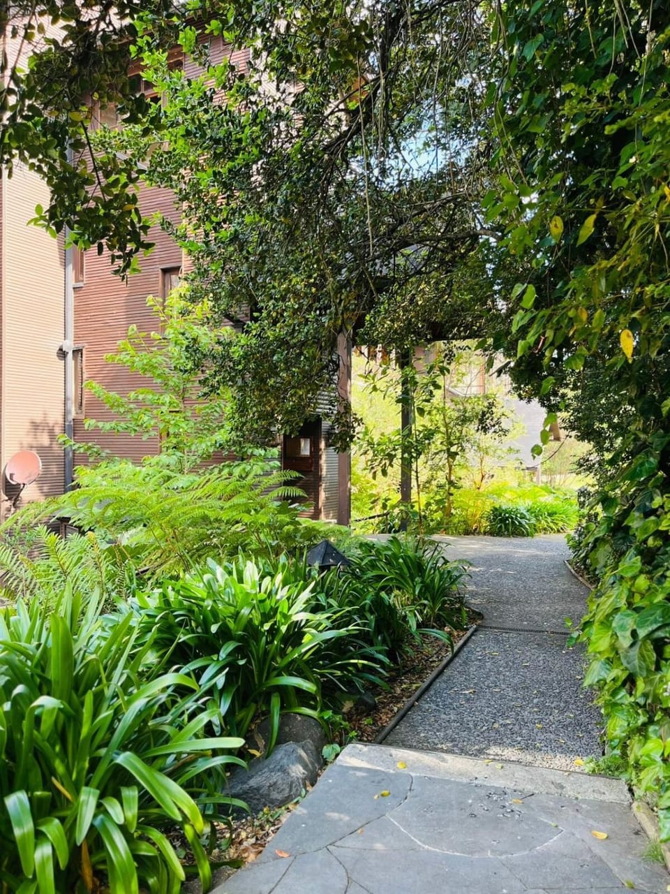 Garden view