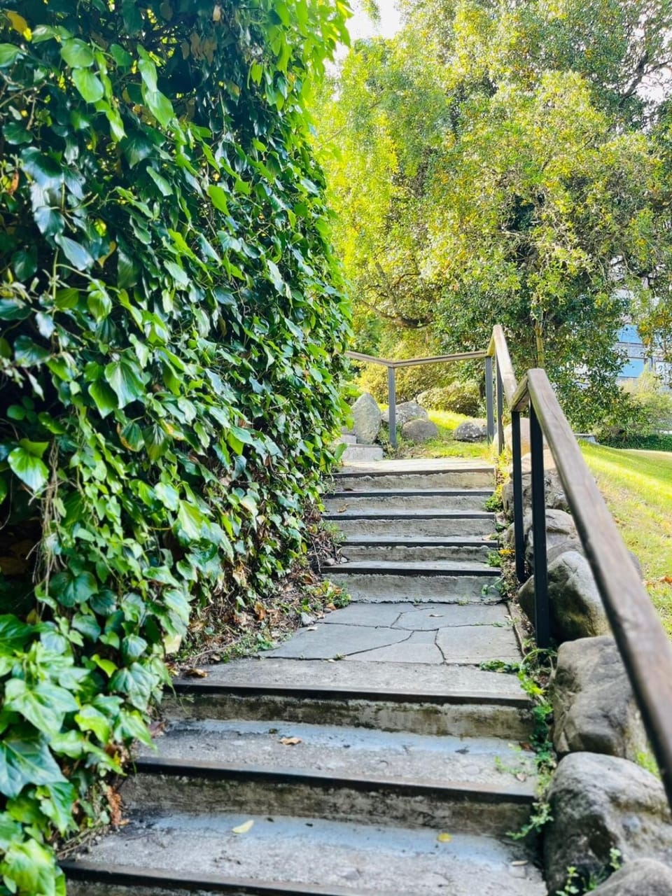 Garden view