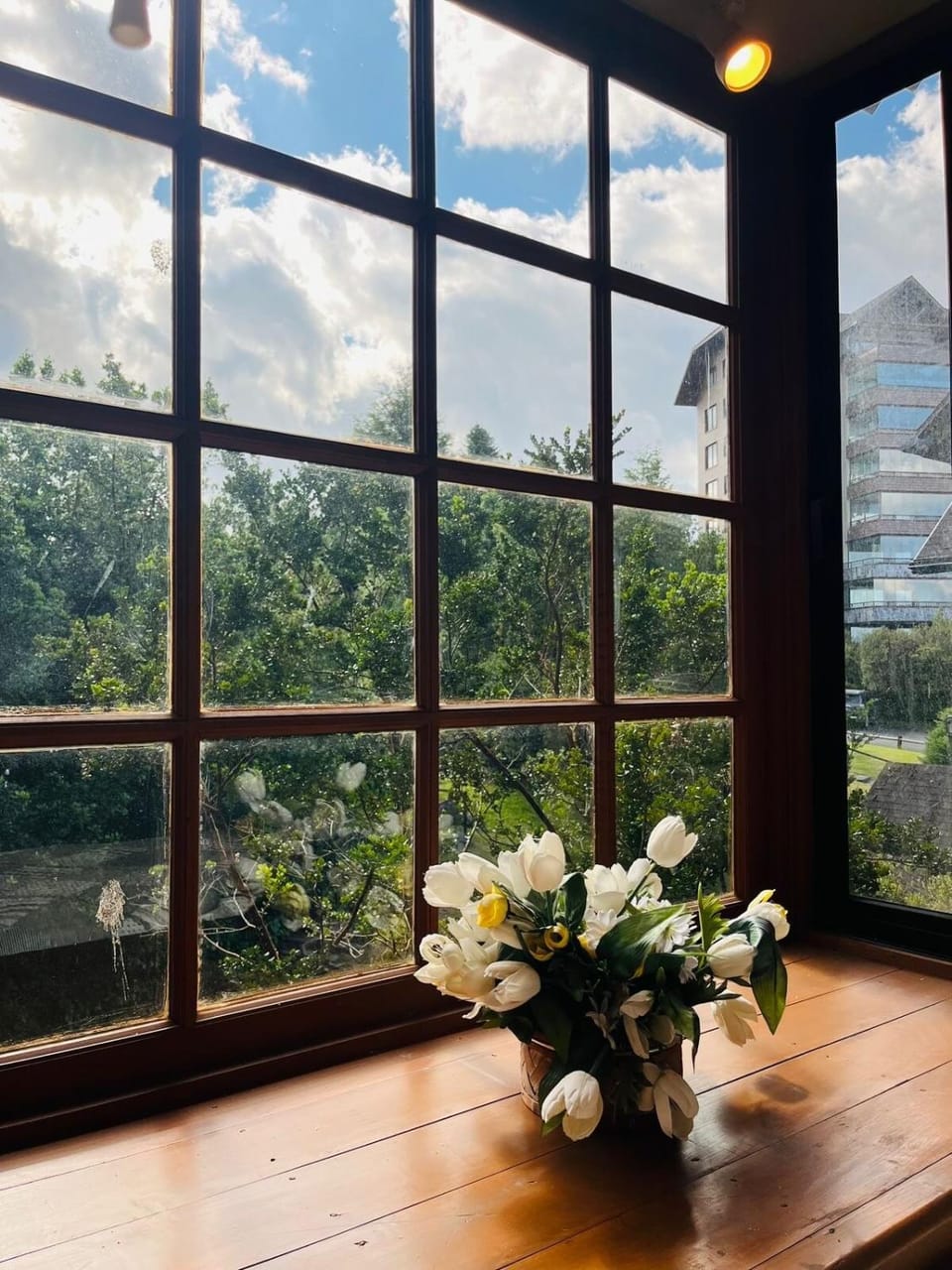 Garden view