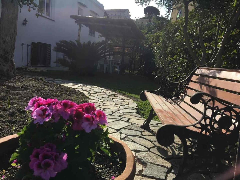 Garden, Garden view