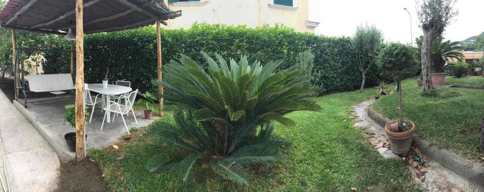 Garden, Garden view