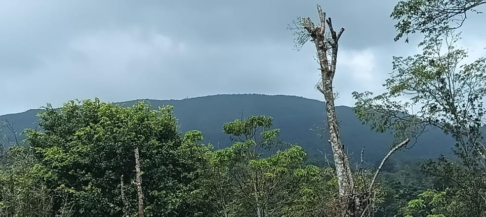 Mount Star Home Stay's Vacation rental in Karnataka