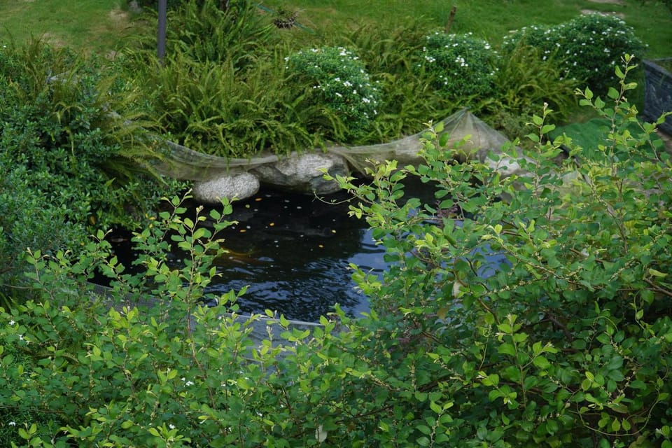 Natural landscape