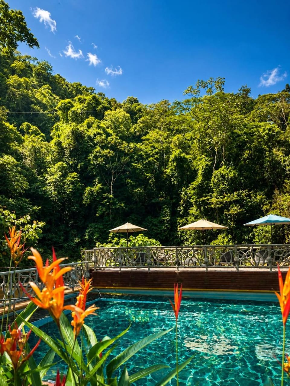Hot Spring Bath, Swimming pool, Swimming pool