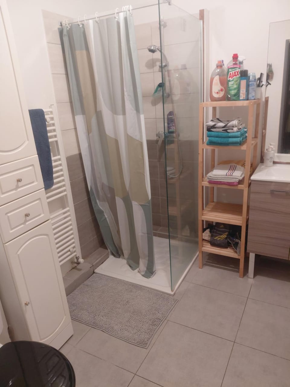 Shower, Toilet