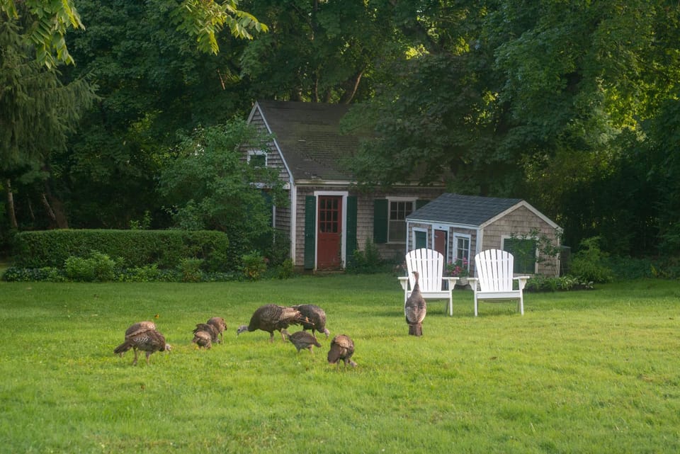 Garden, Animals