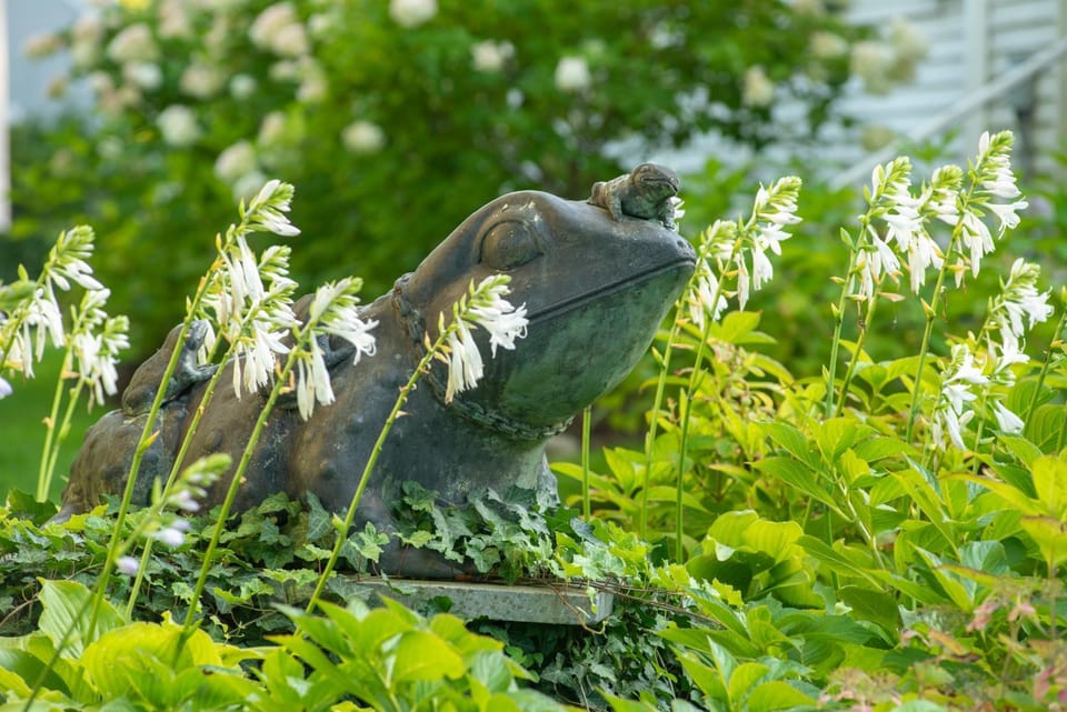 Garden view