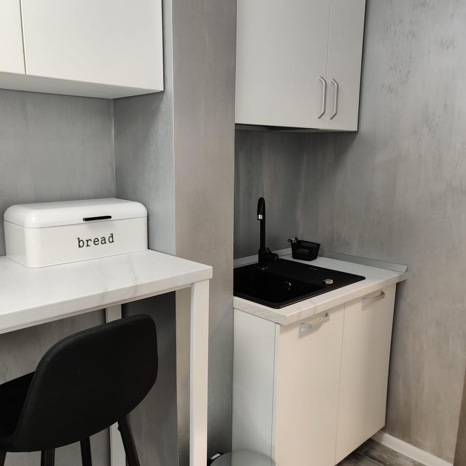 Studio S Apartment in Craiova