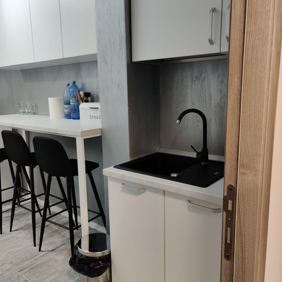 Studio S Apartment in Craiova