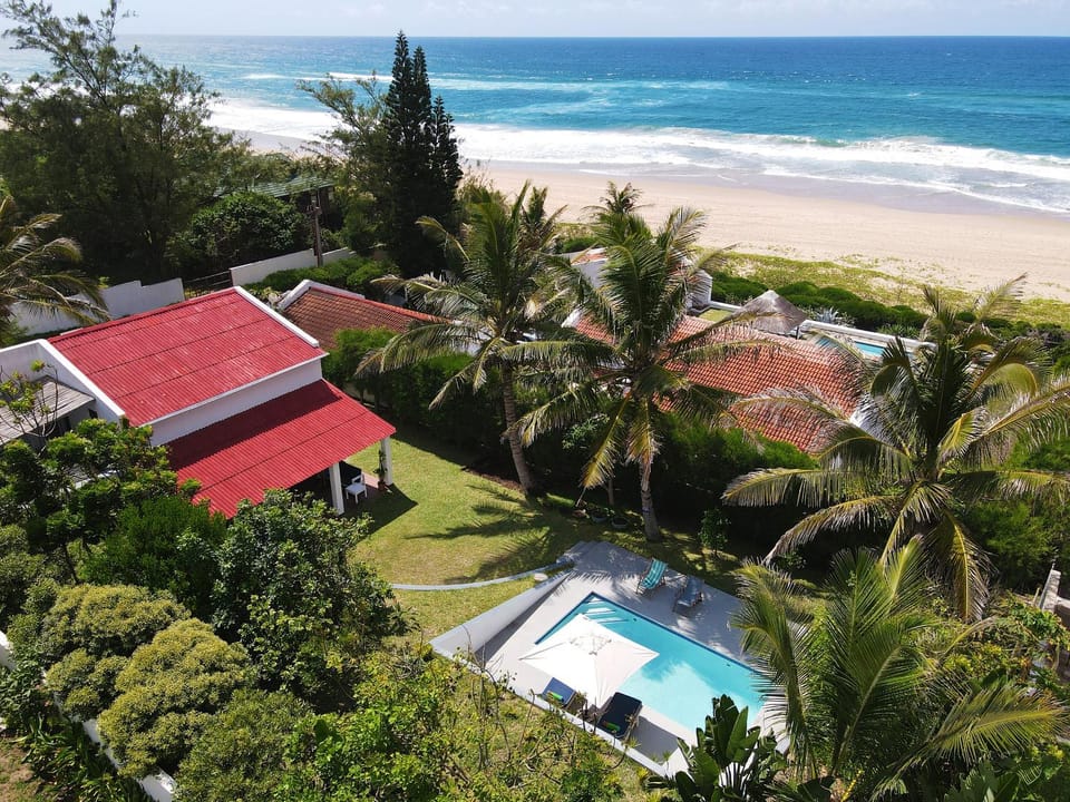 Casa das Palmeiras Palm Tree House House in Africa