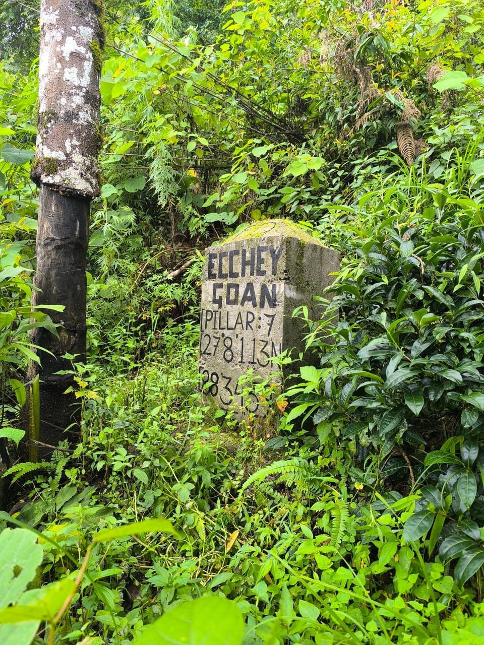 Nearby landmark, Text overlay