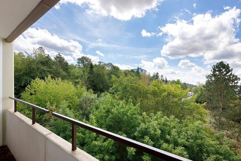 Ferienhaus Parkblick House in Villingen-Schwenningen