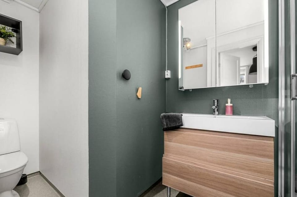 Holtermanns veg - the entire place Apartment in Trondheim
