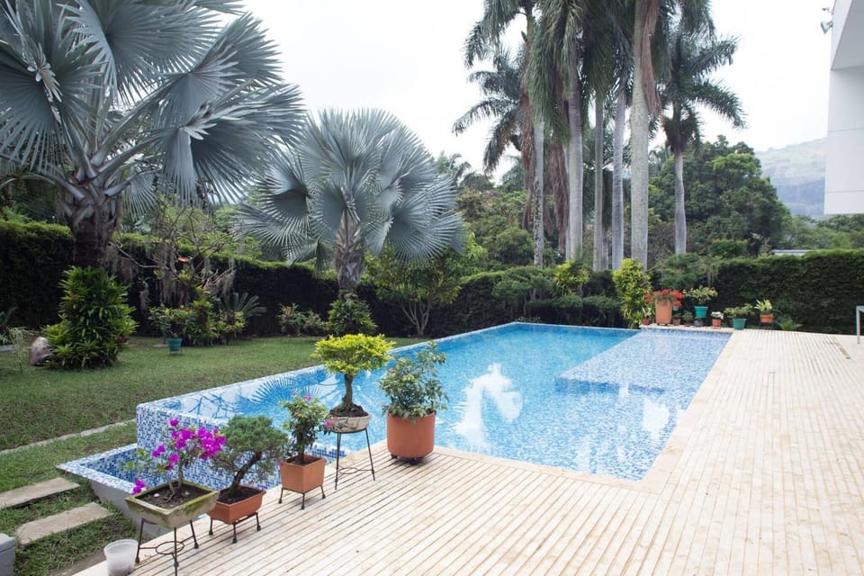 Summer, Garden, Swimming pool
