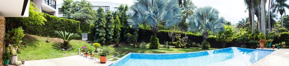 Summer, Garden