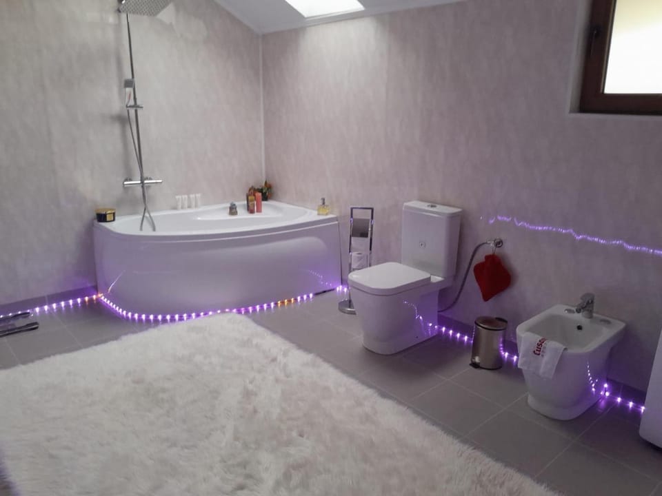 Vila Maria, sunt 2 camere si un living mare cu 2 canapele care se fac paturi matrimoniale se inchiriaza toata vila 150 lei de persoana copii au gratuita cazarea Villa in Romania