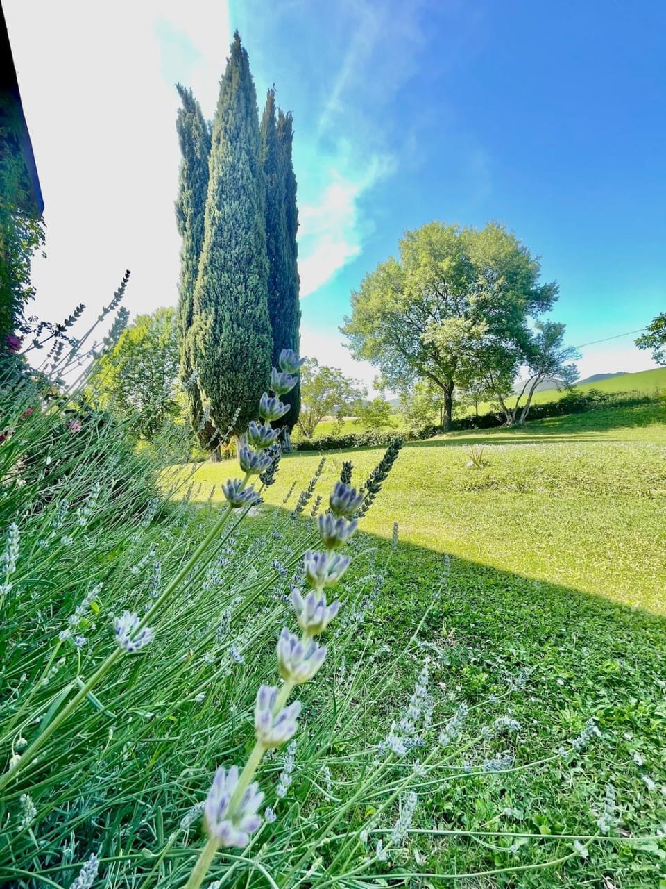 Garden, Garden