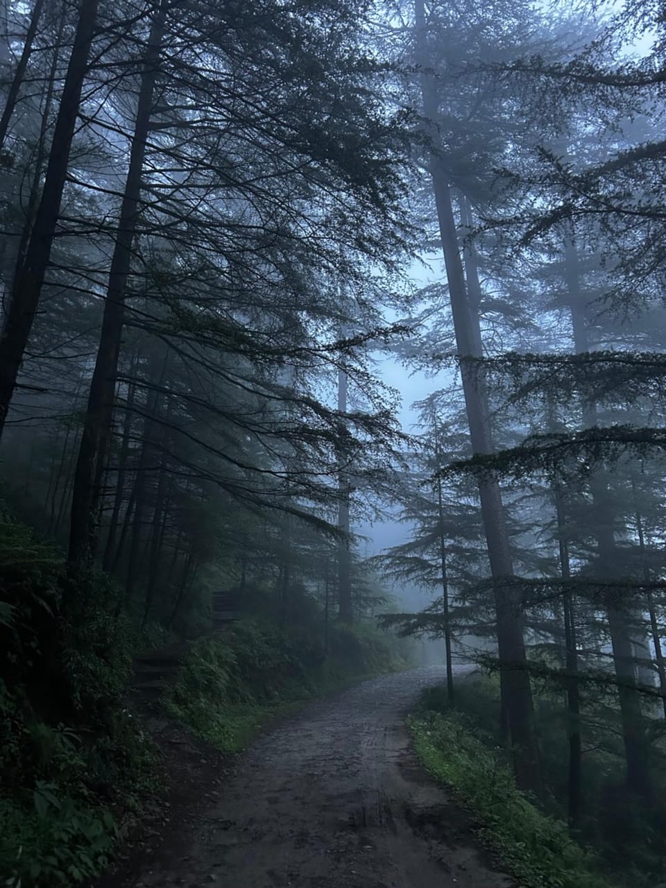 Pahadi Prologue Hostel in Himachal Pradesh
