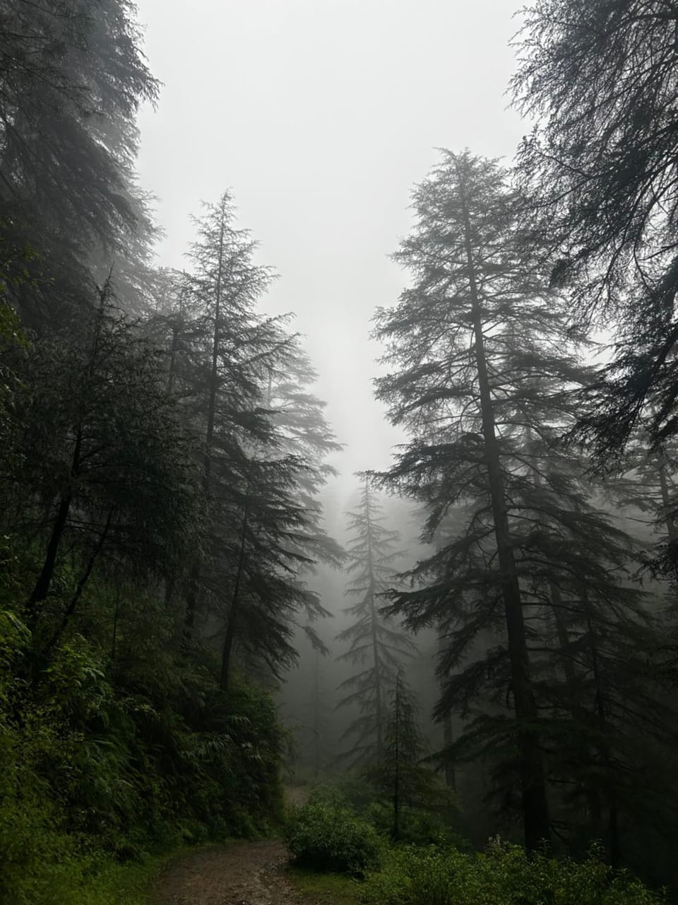 Pahadi Prologue Hostel in Himachal Pradesh