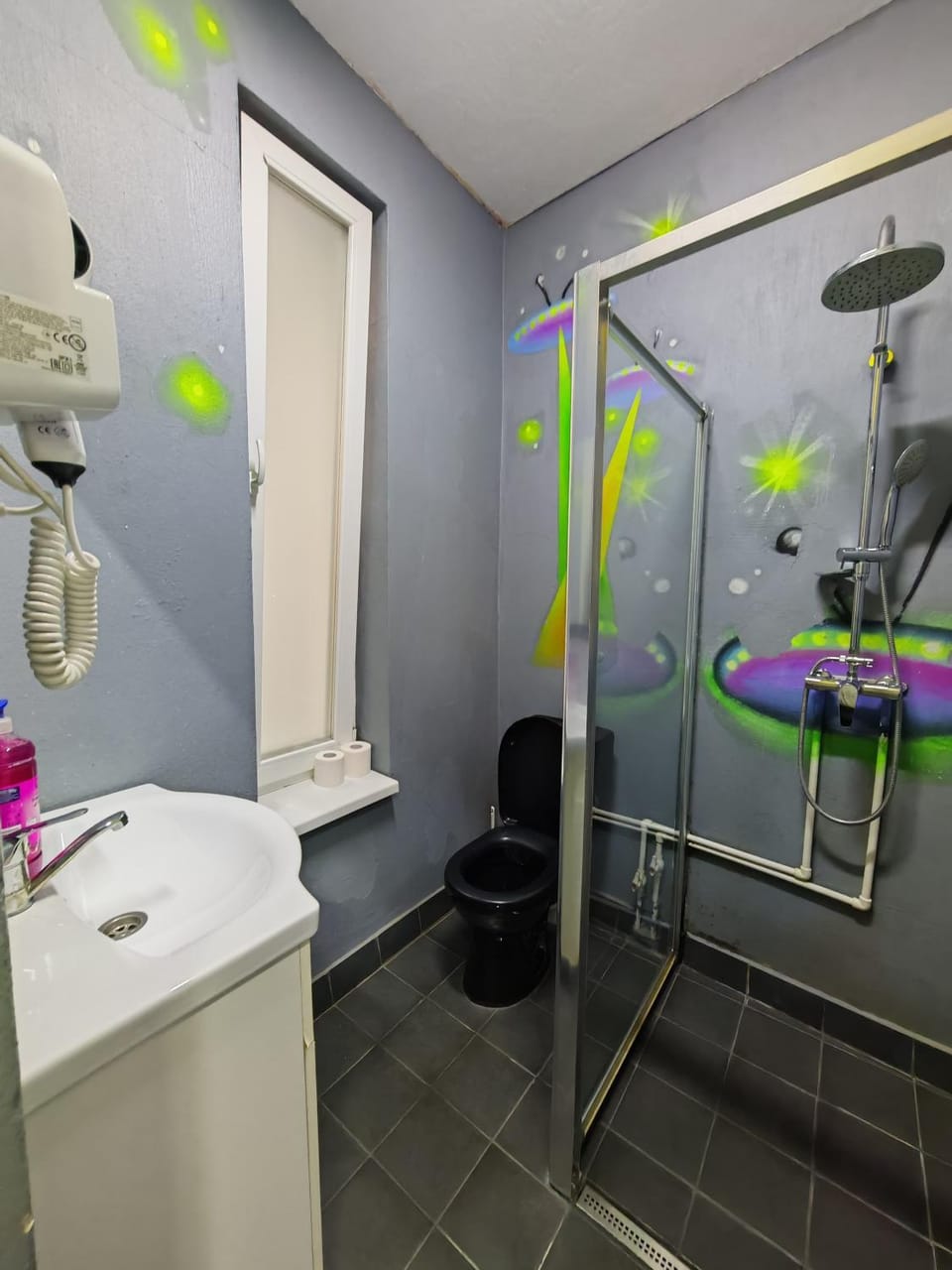 Z VILLA - Spital Colentina Bed and Breakfast in Bucharest