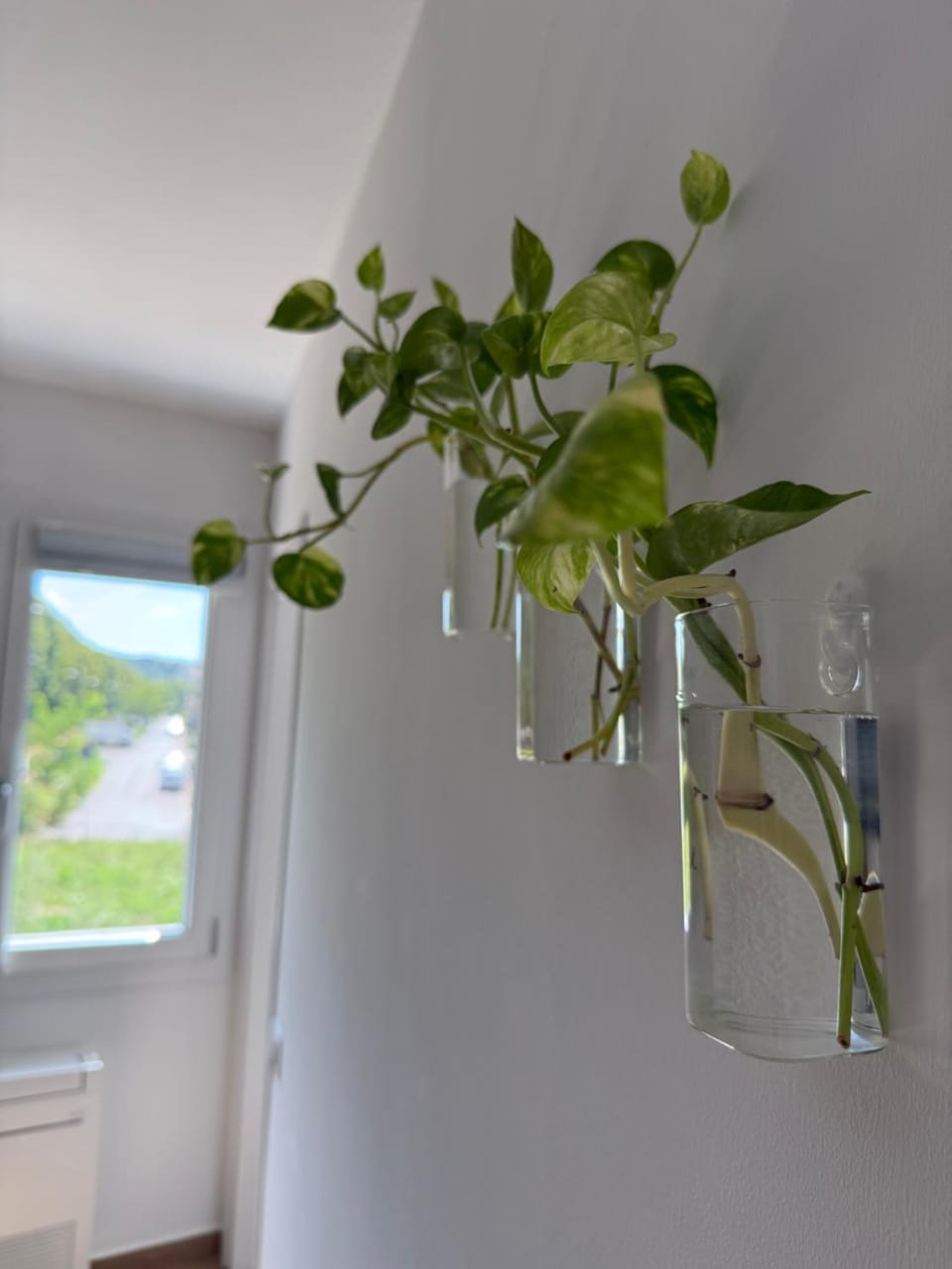 Living room, Decorative detail