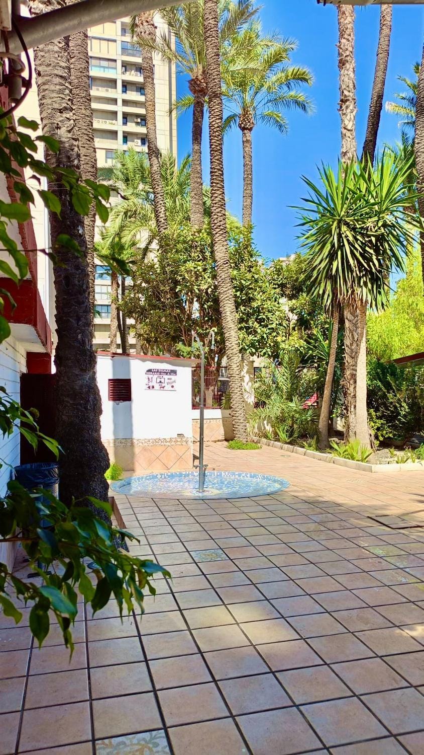 First line Benidorm Apartment in Benidorm