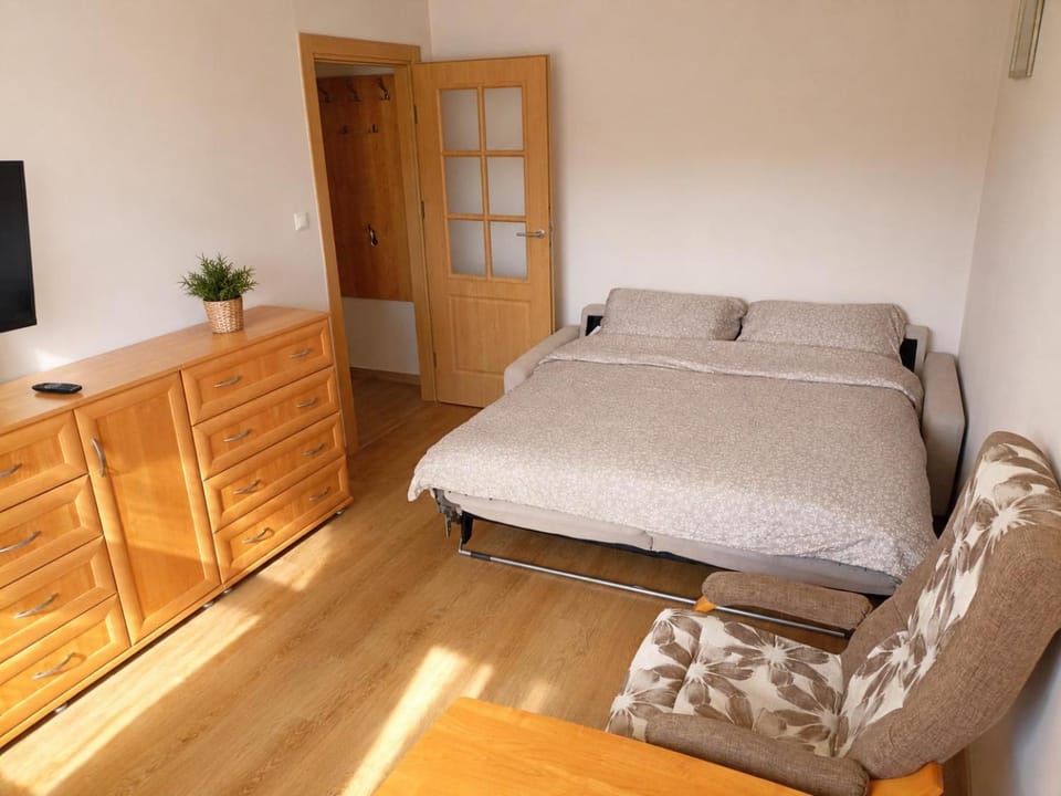 Bed, Living room, Photo of the whole room, Bedroom, wardrobe