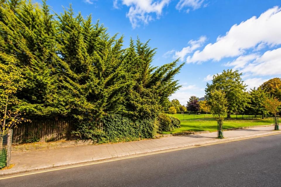 Spring, Neighbourhood, Natural landscape