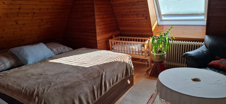 Quiet attic Apartment with large Garden near Vienna Apartment in Austria