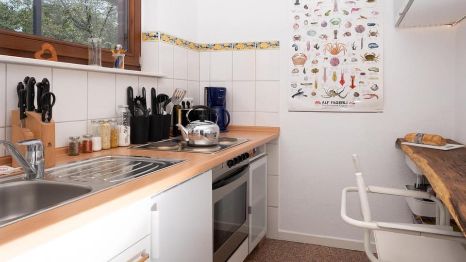 Coffee/tea facilities, Kitchen or kitchenette, stove
