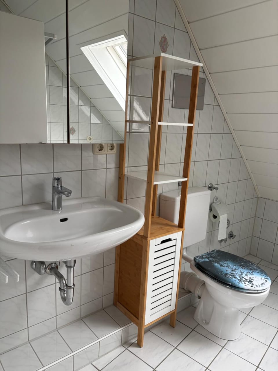 Toilet, Bathroom