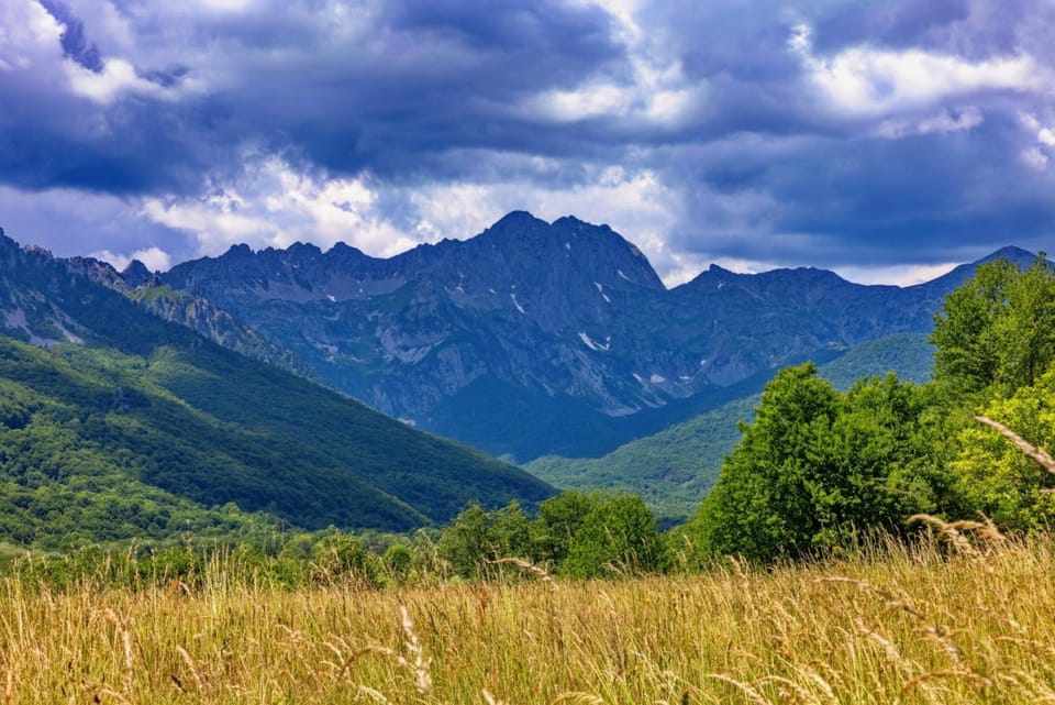 Mountain view