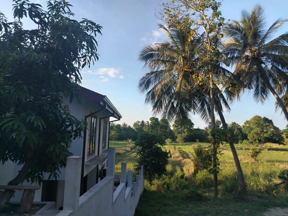 View (from property/room)