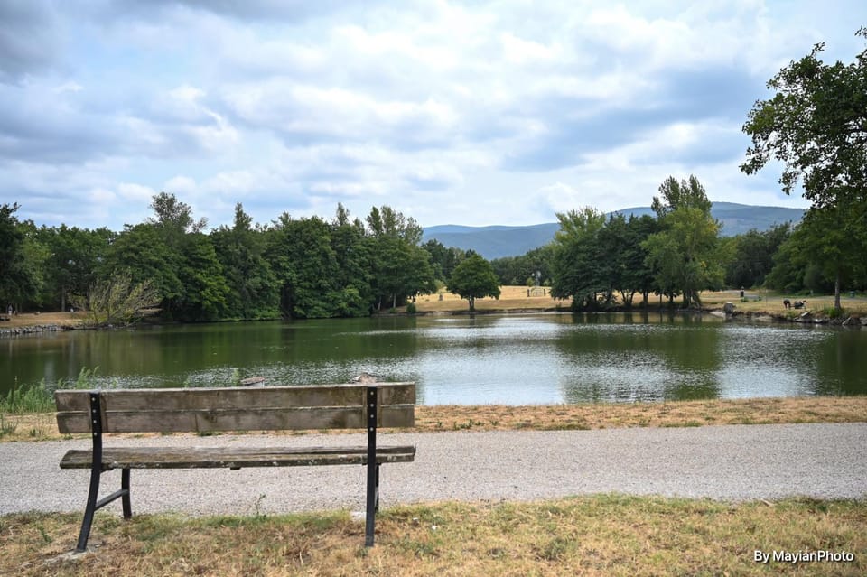 Lake view