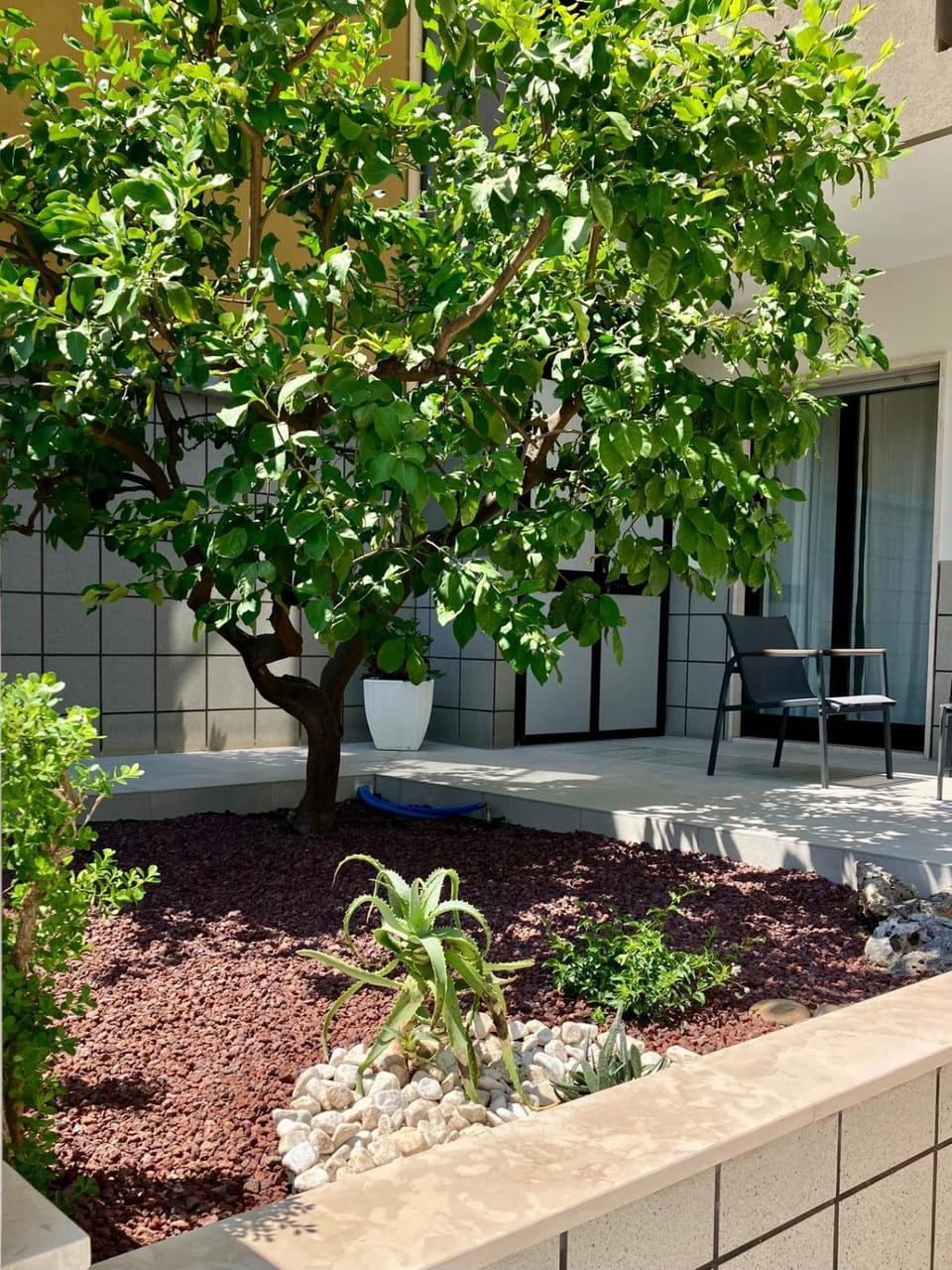 Patio, Garden, Garden view