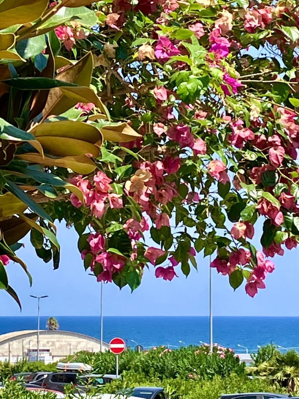 Sea view