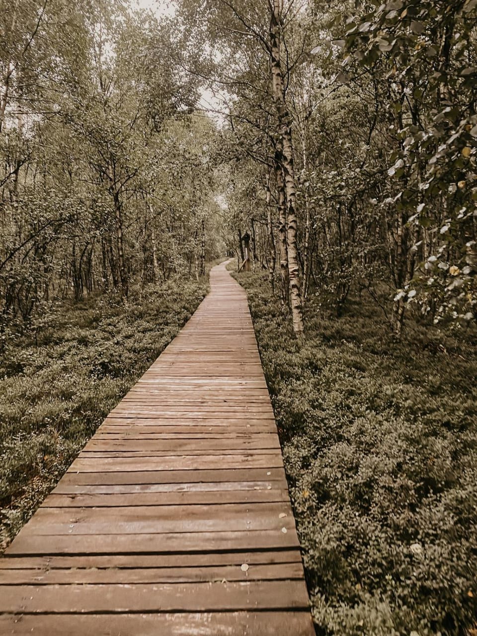 Natural landscape
